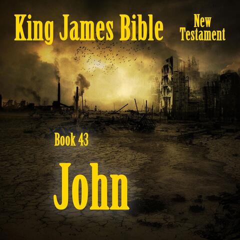 King James Bible, Book 43: John
