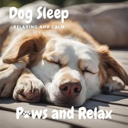 Bedtime Barks & Bliss