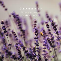 Lavender (Piano Version)