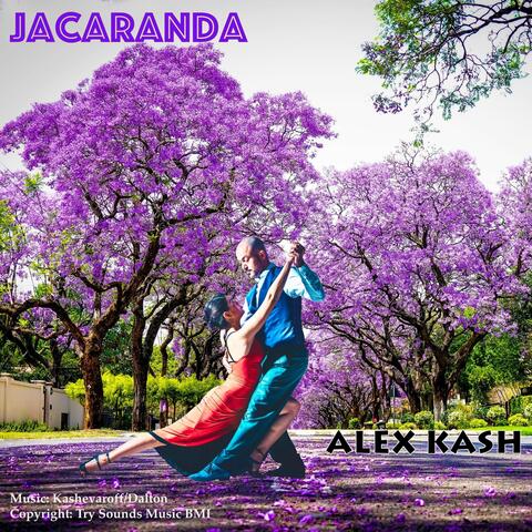 Jacaranda