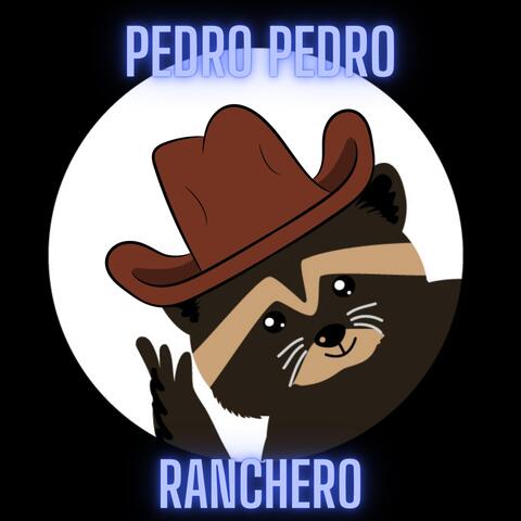 Pedro Pedro Ranchero