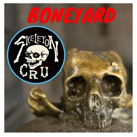 Bone Yard
