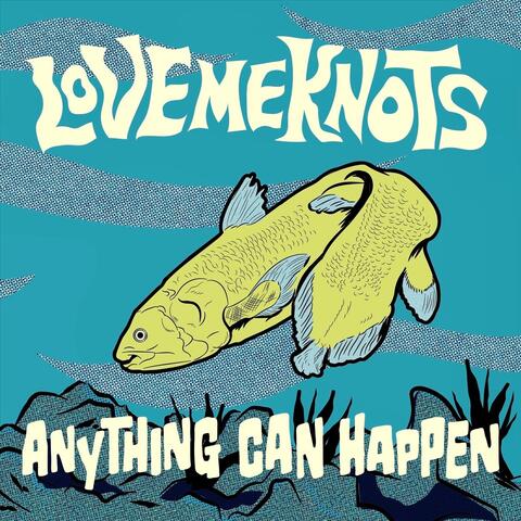 Anything Can Happen