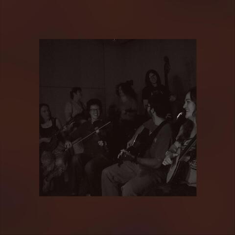 Licklog String Band