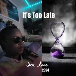 It's Too Late