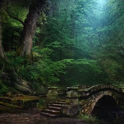Forest Creek Sounds