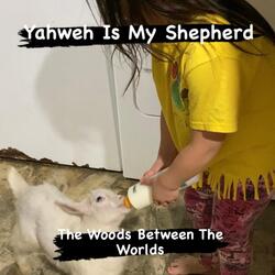 Yahweh Is My Shepherd