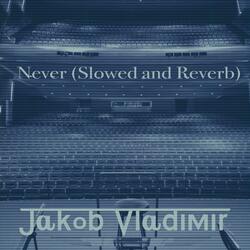 Never - Slowed and Reverb