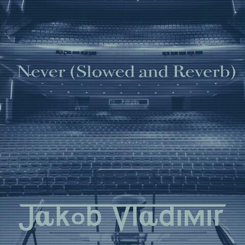 Never - Slowed and Reverb