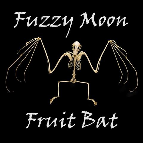 Fruit Bat