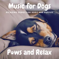Relaxing Rhythms with Dogs