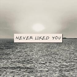 never liked you