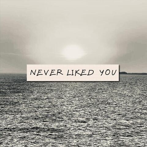 never liked you