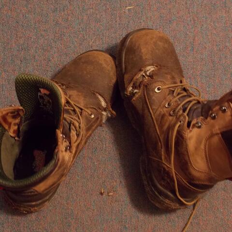 Walkin' and Thinkln'