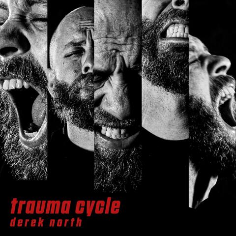 Trauma Cycle