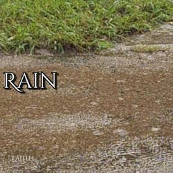 Rain