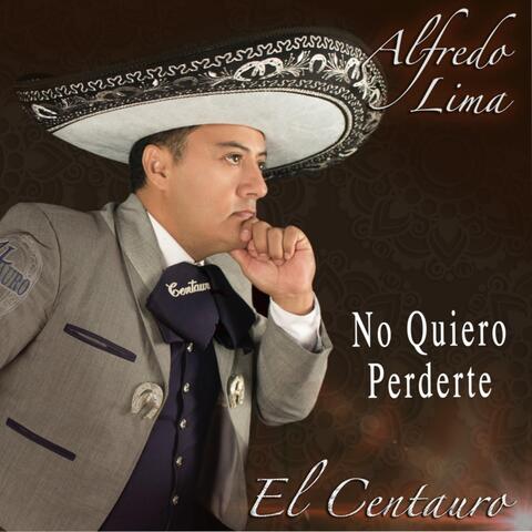 No Quiero Perderte