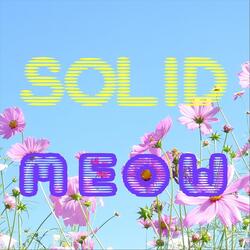 Solid Meow