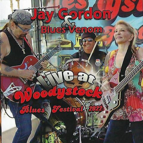 Live at Woodystock Blues Festival