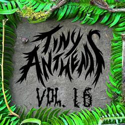 Laurie, Sunburst on a Rocky Shore