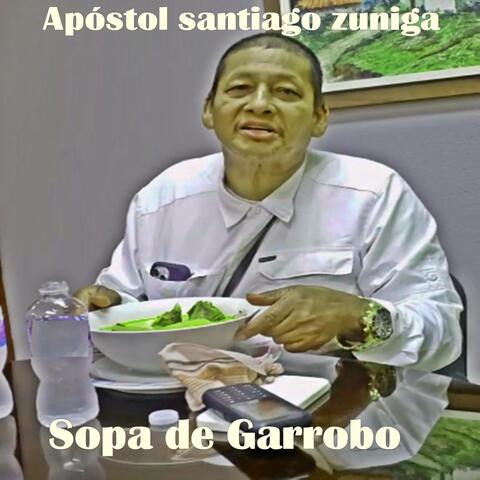 Sopa De Garrobo