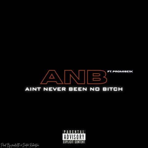 ANB (feat. Promise1k)