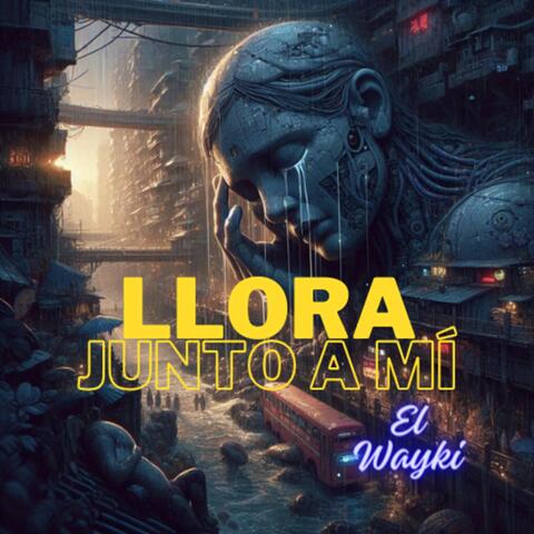 Llora Junto a Mí