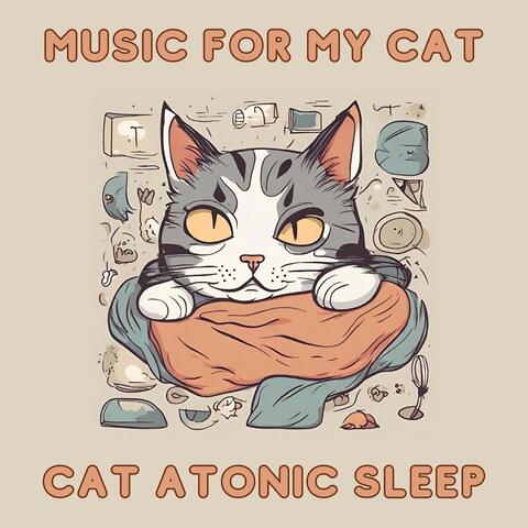 Music for My Cat