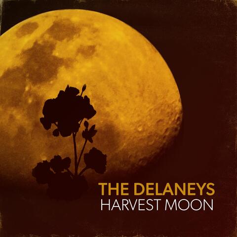 Harvest Moon