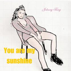 You Are My Sunshine