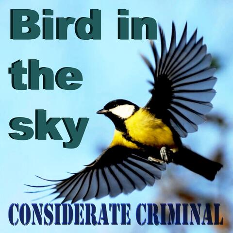 Bird in the Sky