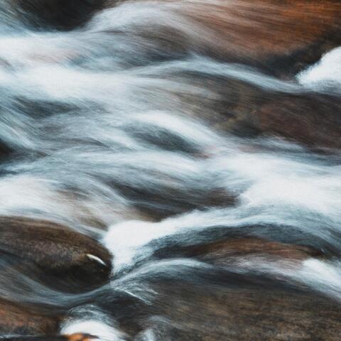 Psalms, Collection 1