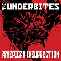 American Insurrection