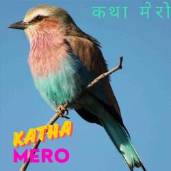 Ko Po Hola