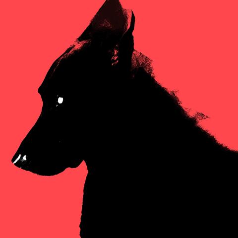 Contractual Obligation