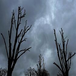 Camouflaged Upon the Couch