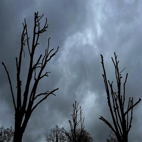 Camouflaged Upon the Couch