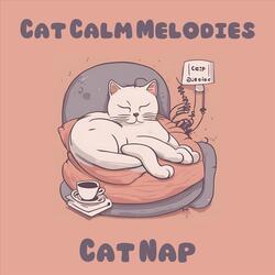 Cat Paws: Music for Cats