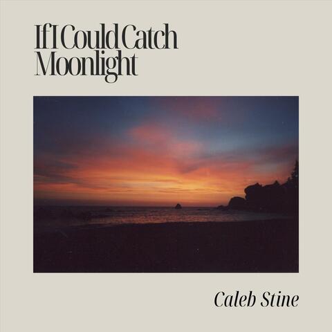 If I Could Catch Moonlight