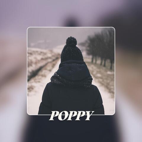 Instrumental Beats