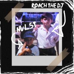 Someone (feat. Roach the DJ)