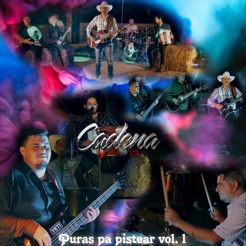 Puras Pa Pistear, vol. 1 (En Vivo)