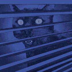 Borrowed Blues