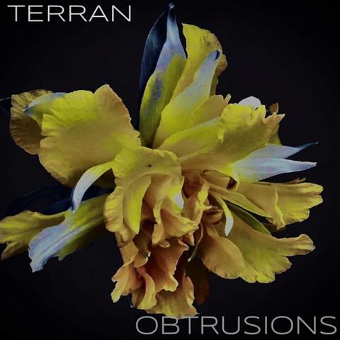 Obtrusions