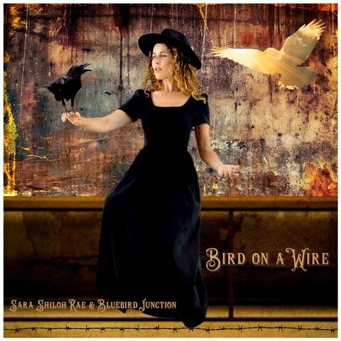 Bird on a Wire