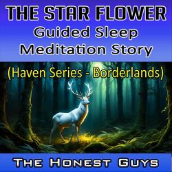 The Star Flower. Guided Sleep Meditation Story (Haven Series - Borderlands)