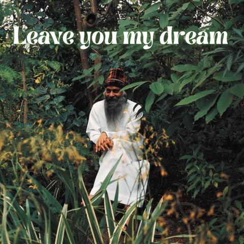 Leave You My Dream - Single
