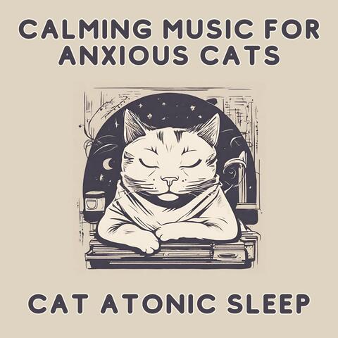 Calming Music for Anxious Cats