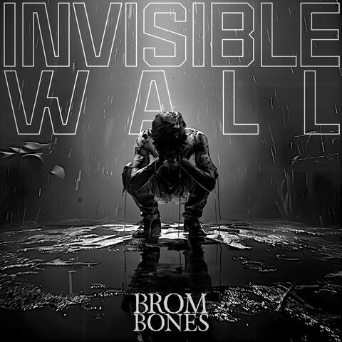 Invisible Wall