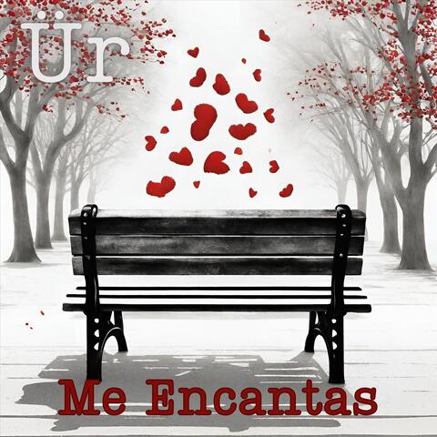 Me Encantas